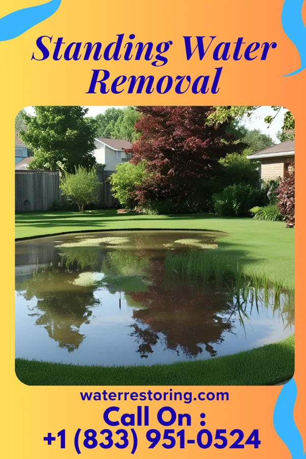 Standing Water Removal in Pittsburg, TX